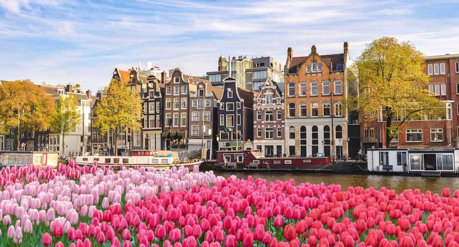тур в амстердам и бельгию на майские праздники из польши